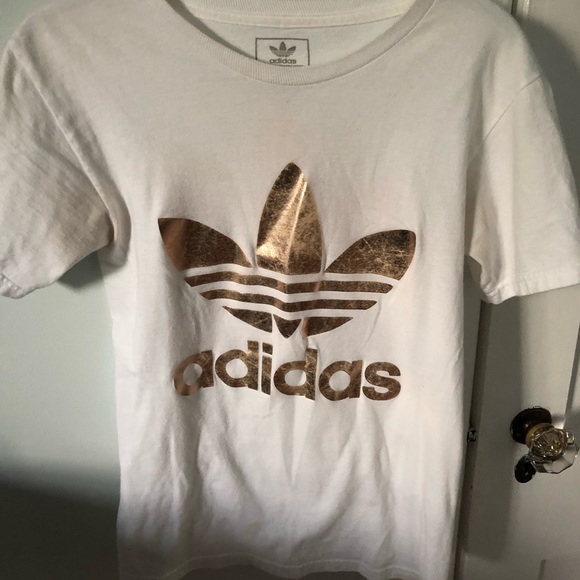 M_5b0217aaa6e3eaafcf7072ba